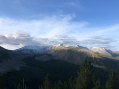 IMG_4428.jpeg
