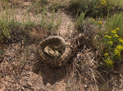 2019-08-01 15.52.18.jpeg