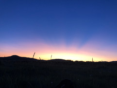 IMG_0276.jpeg