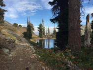 IMG_7368.jpeg