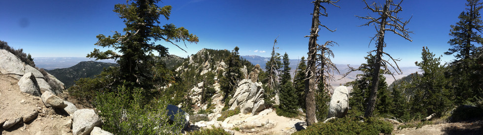 2015-05-05 12.17.31.jpg