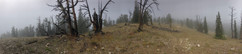 IMG_4495 1.jpeg
