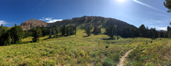 IMG_3195.jpeg