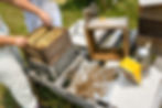 students working a box hive together, summer 2023