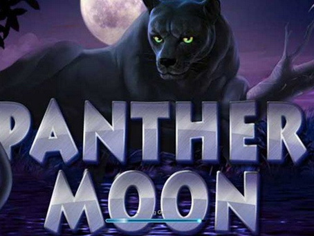 Playtech Slot Game : Panther Moon