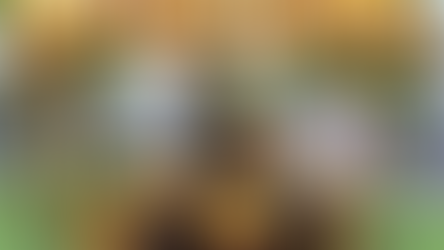 Playtech Slot GAme : Bonus Bears