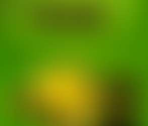 Playtech Slot Game : Scatter Brains 2