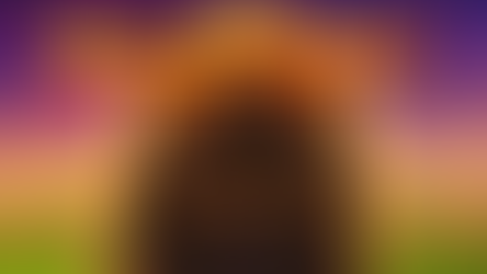 Playtech Slot Game : Buffalo Blitz