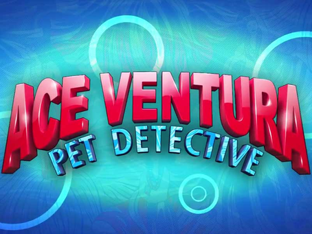 Playtech Slot Game : Ace Ventura