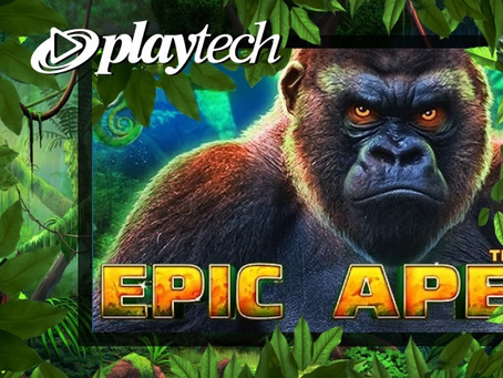 Playtech Slot Game : Epic Ape