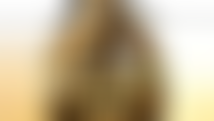 Playtech Slot Game : Egypt Spin