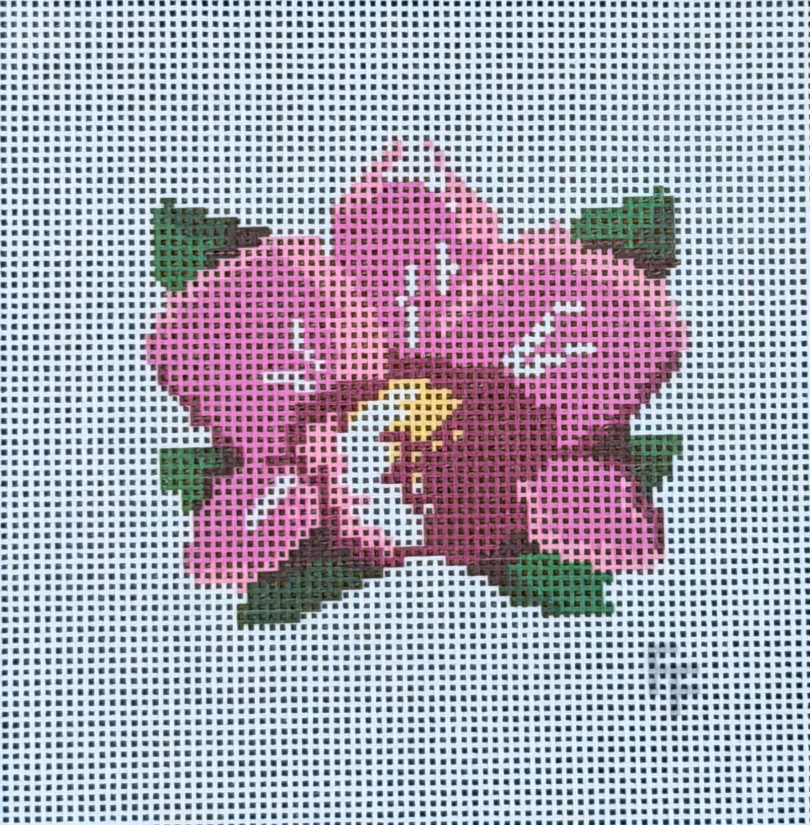 Pink Botanical Bloom