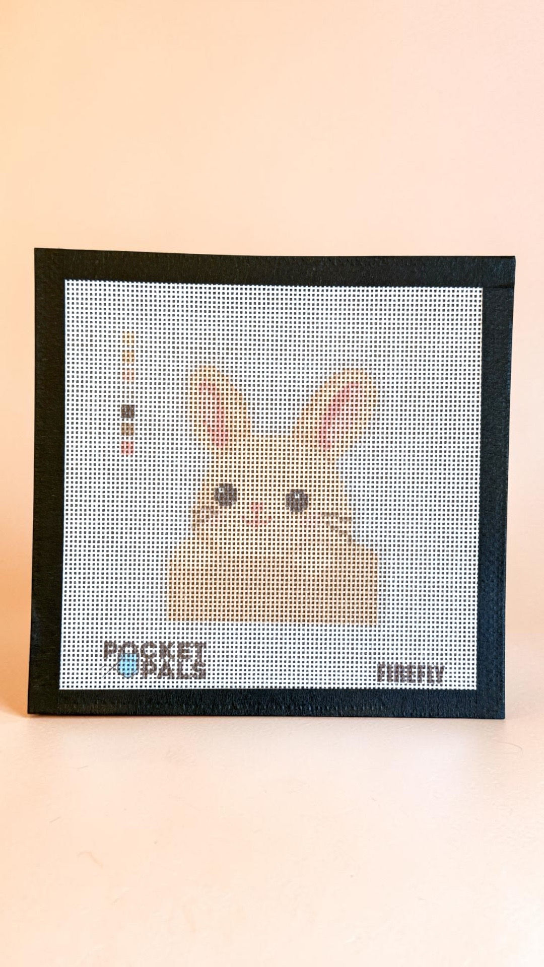 Pocket Pals Rabbit