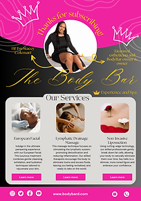 body bar email marketing fake project.png