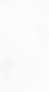 background.png