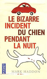 Le Bizarre incident du chien pendant la nuit