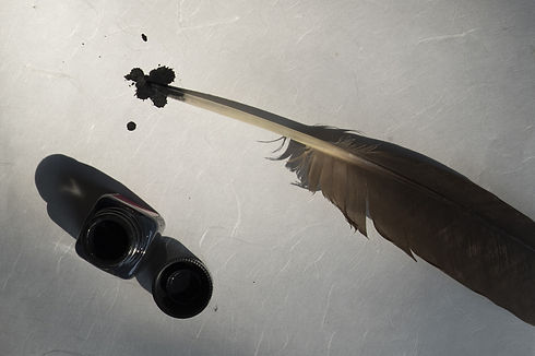bird-feather-2505308_1920.jpg