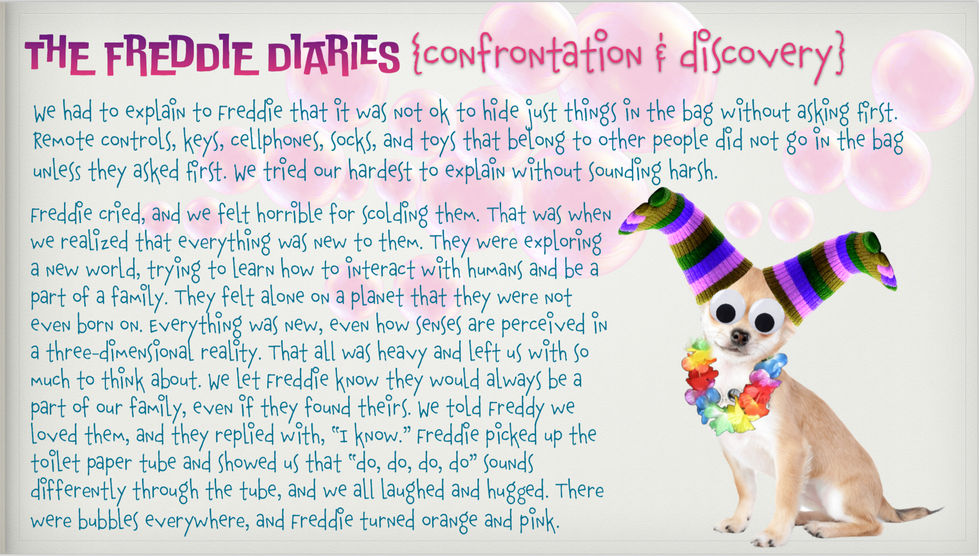 The Story: The Freddie Diaries {Page 11}