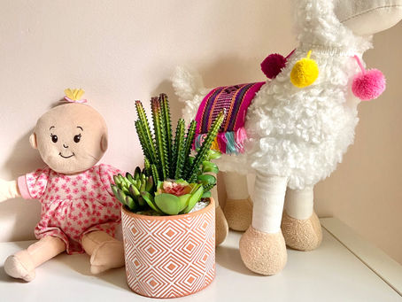 Lovable and a little prickly