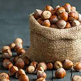 hazelnut.jpg