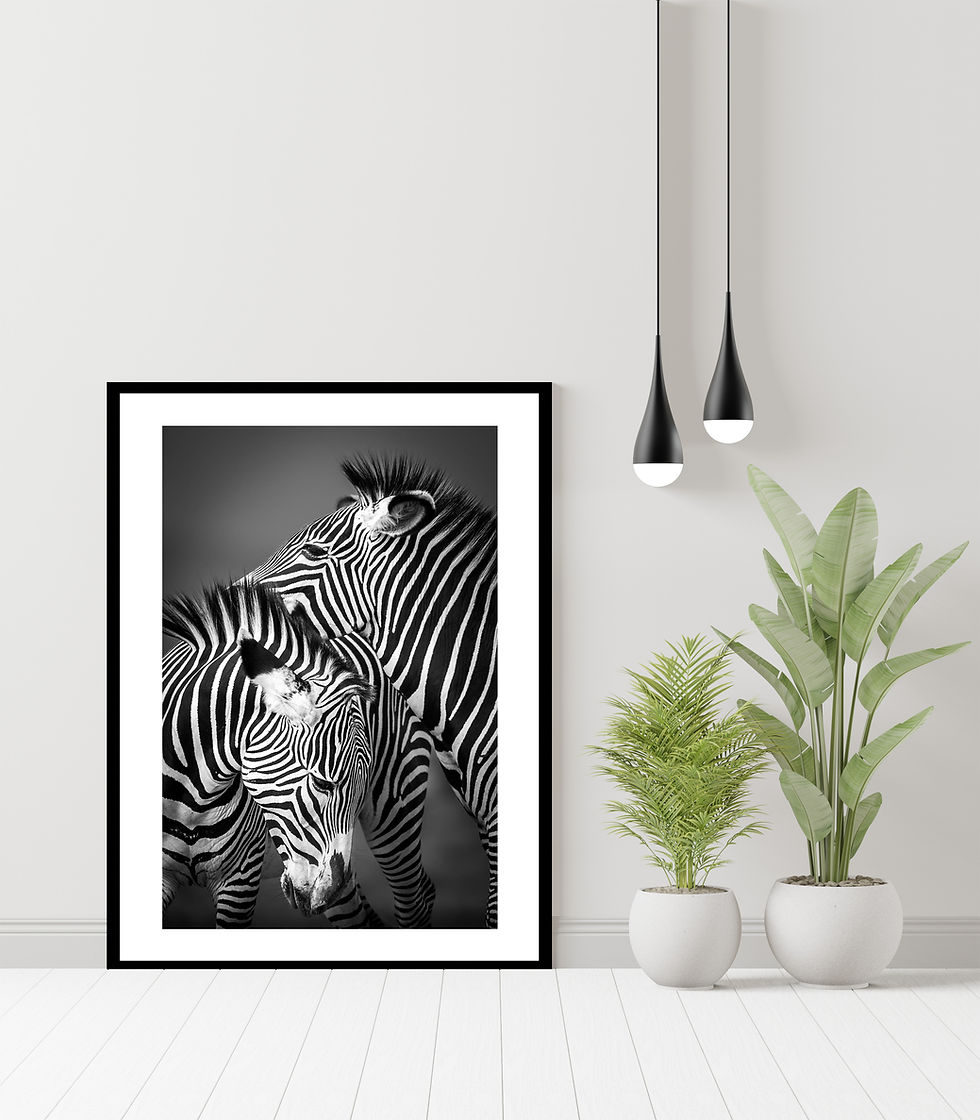 Thumbnail: Stripes