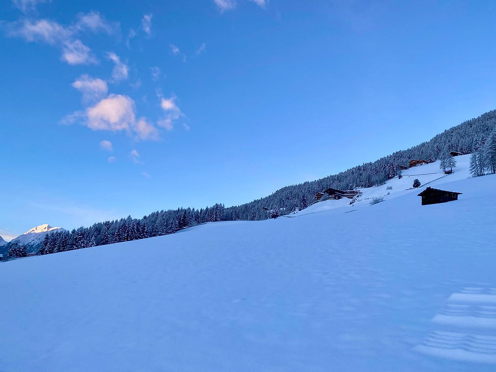 Der Winter ist zurück