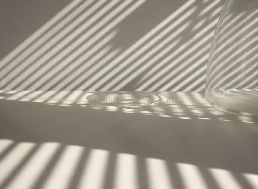 Light and Shadow _edited.webp