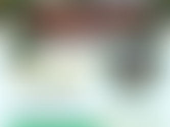 Common Mistakes Homeowners Make When Hiring a Fence Contractor Everett WA