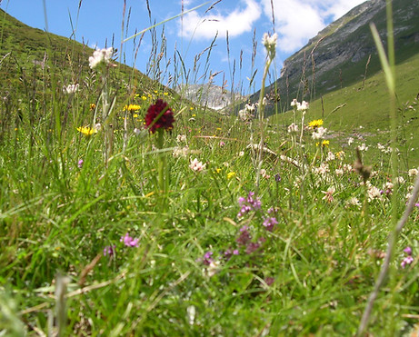 2005-07-13 13-16-57.JPG