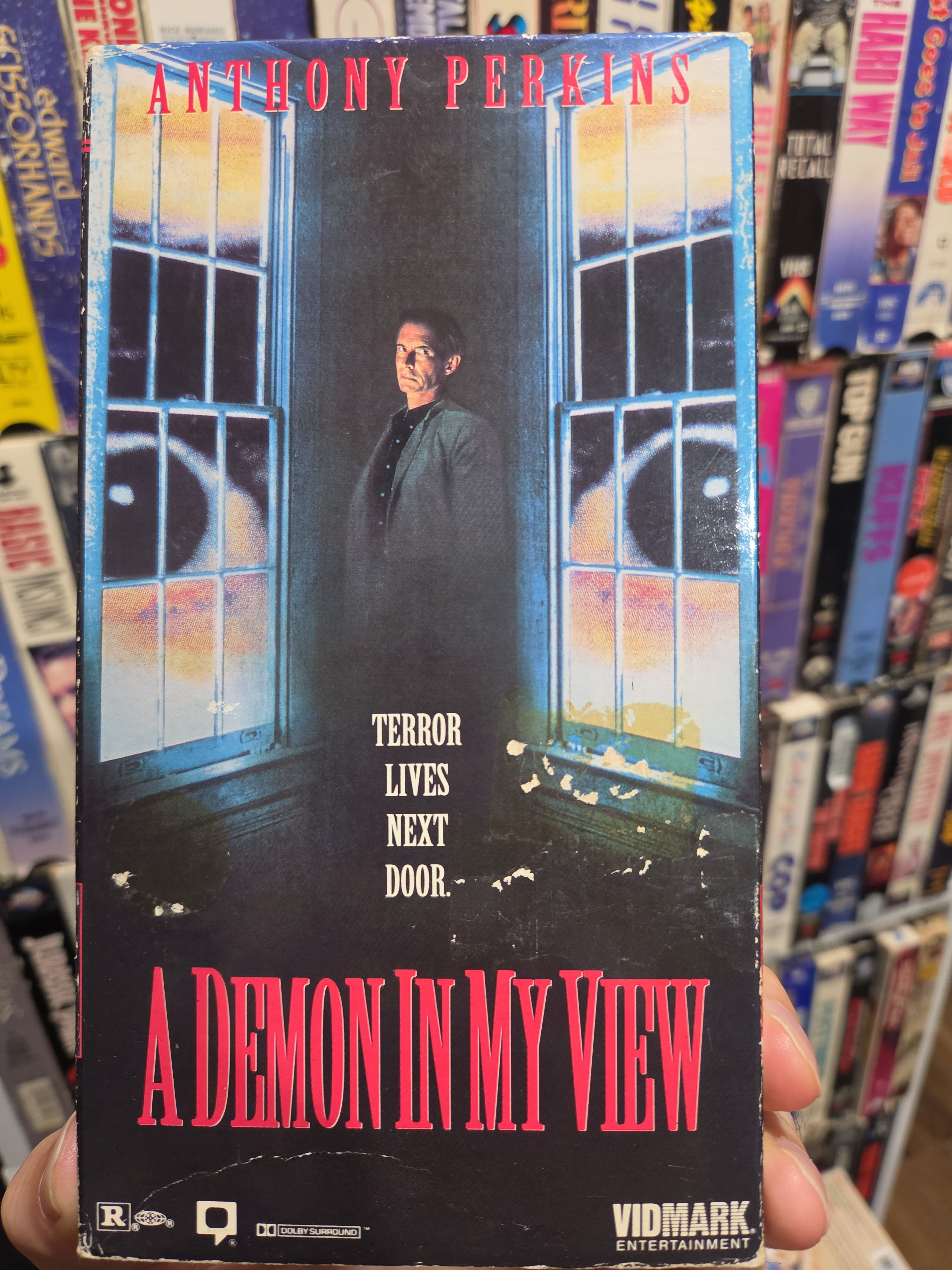 A Demon In My View 1991 VHS Original Release