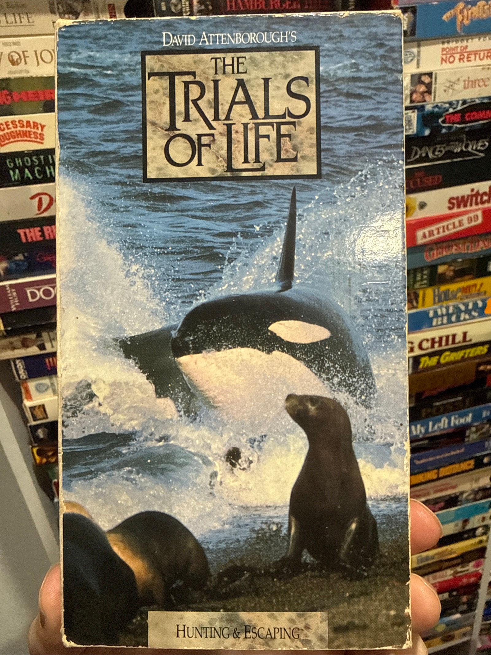 David Attenborough Trials Of Life Hunting & Escaping 1991 VHS Original Release