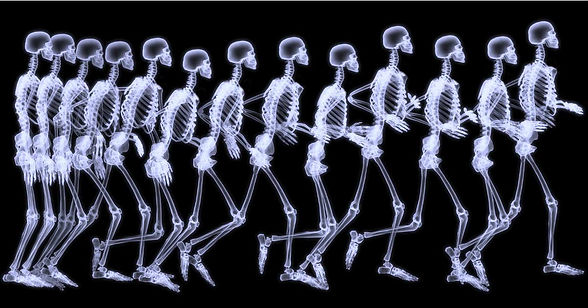 Movement-Variability.jpg