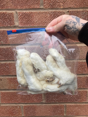 Hairy rabbit feet 200g | Miss Shelby Ltd