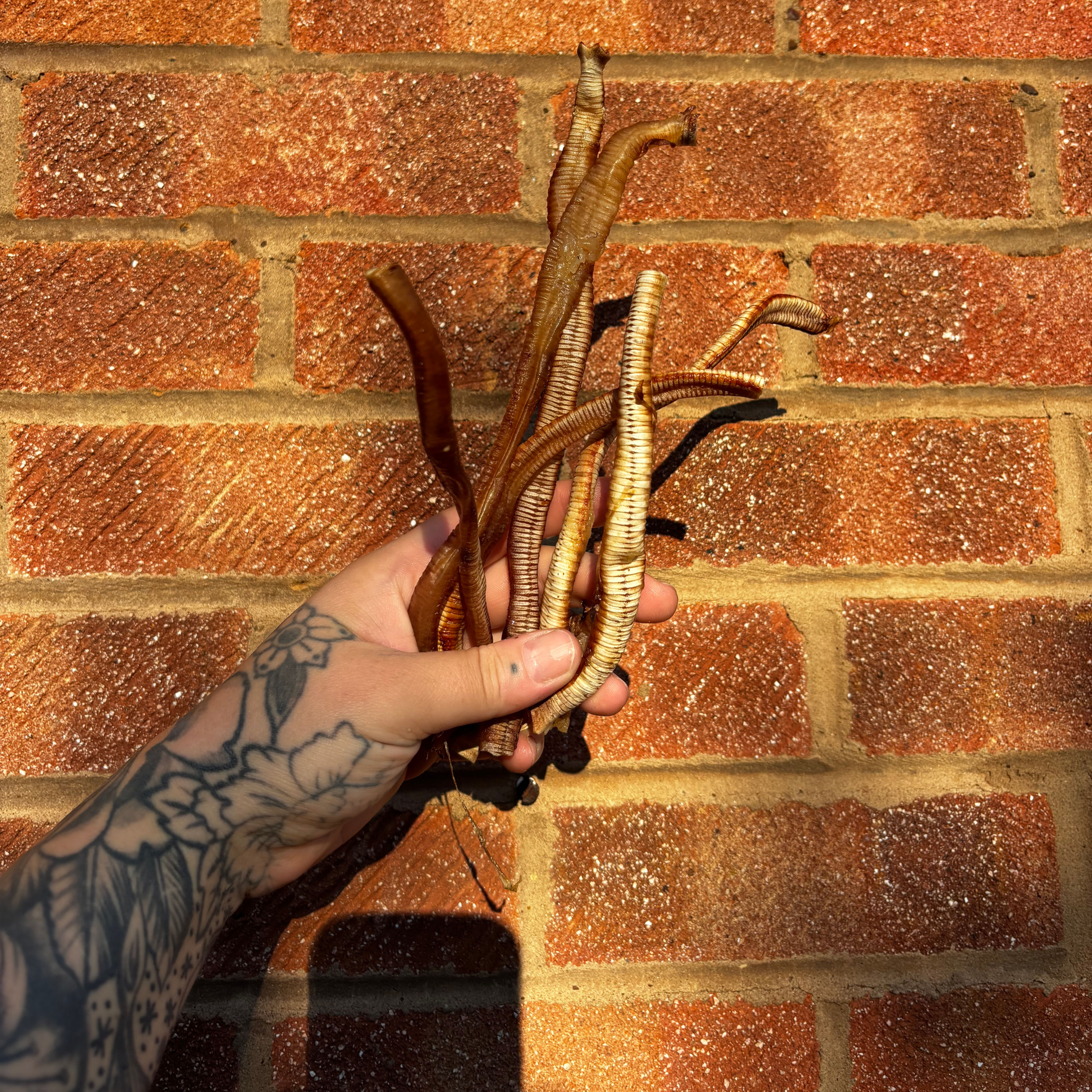 Goose trachea 20g