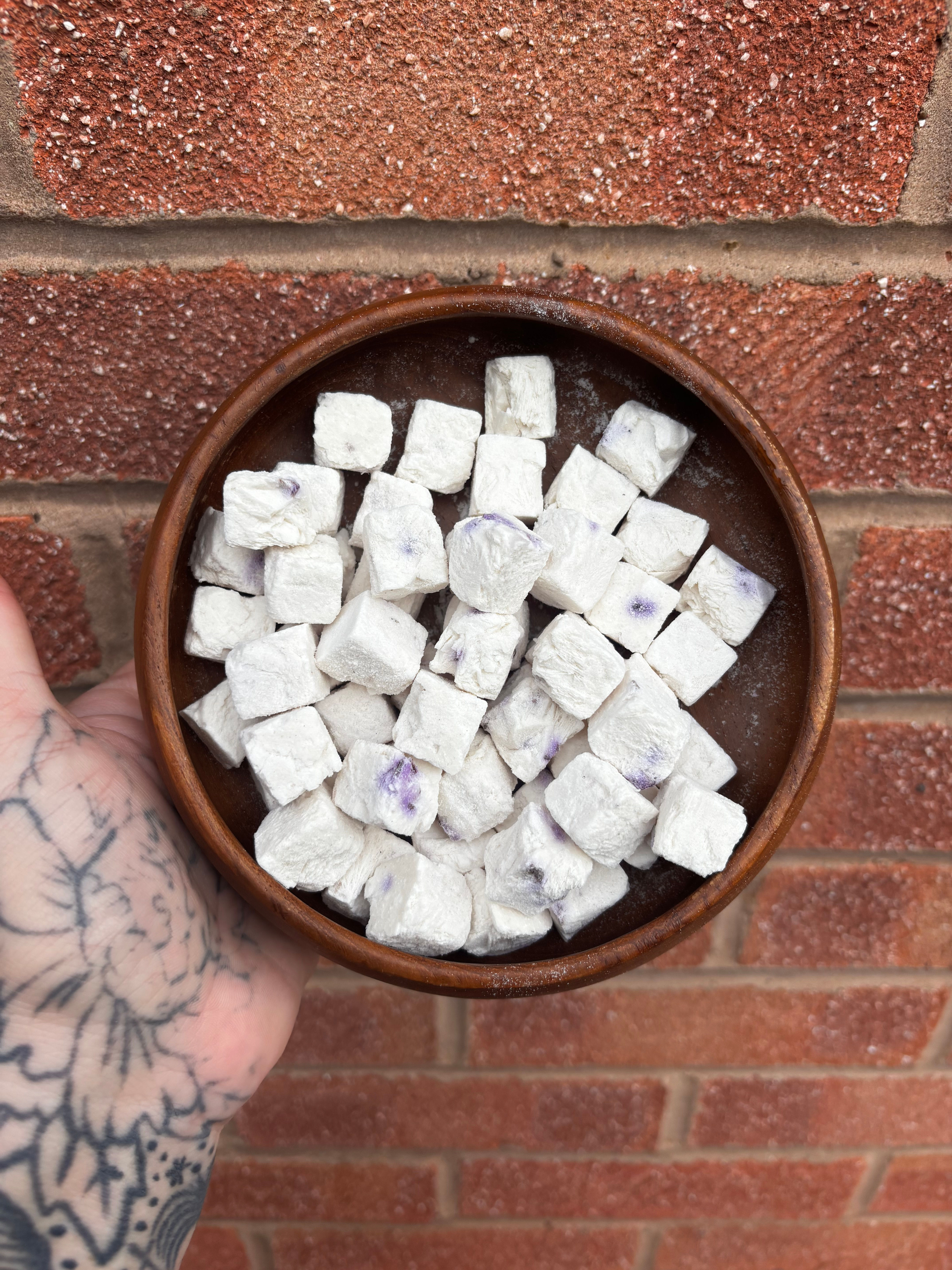 Blueberry Yogurt Cubes - Freeze Dried