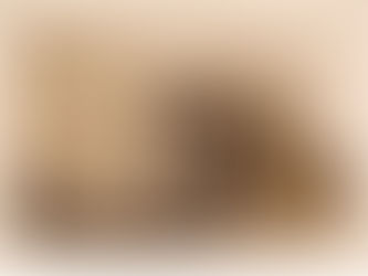 Cien años de la última Asamblea Nacional Constituyente Centroamericana