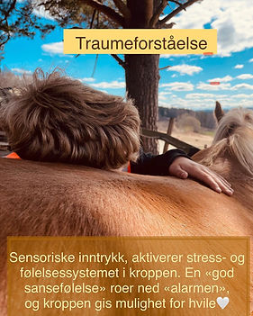 traumeforståelse.jpg