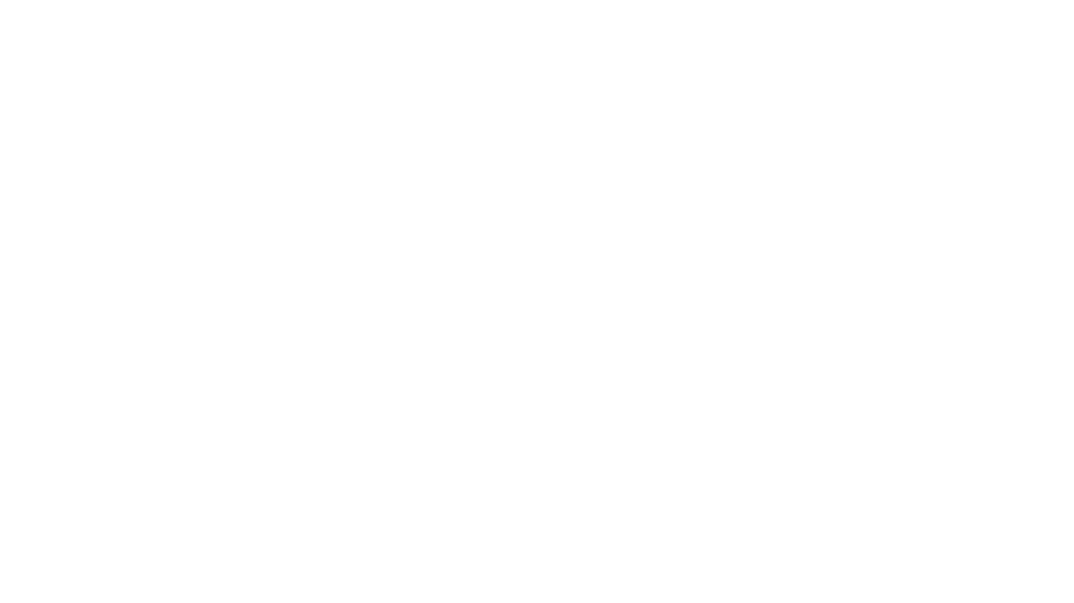 dog bones.png
