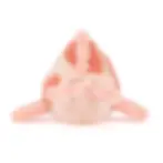 Fancy Carp