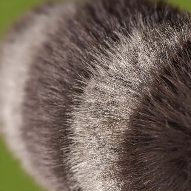 Thumbnail: Jellycat - Trixiwoo Raccoon
