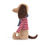 Thumbnail: Jellycat Beatnik Buddy Sausage