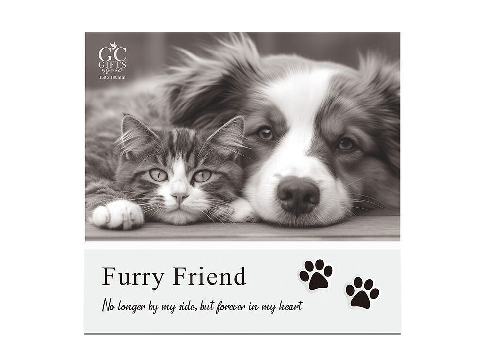In Loving Memory Photo Frame - Furry Friend
