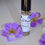 Thumbnail: Sunny Lavender Blend