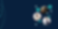 Assault Page Banner.png