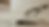 WARP-SITE-1.png