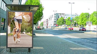 Clear Backlit film.jpg