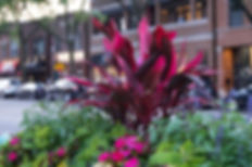 DSC_0141.jpeg