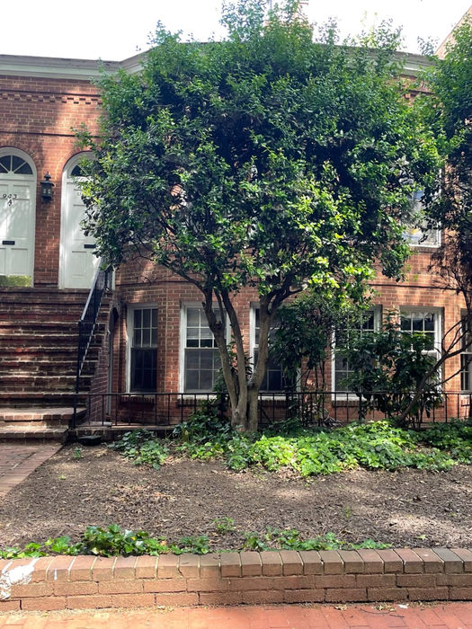 A sidewalk view of the house with with low brick retaining wall. (D. Vogt, May 2022)