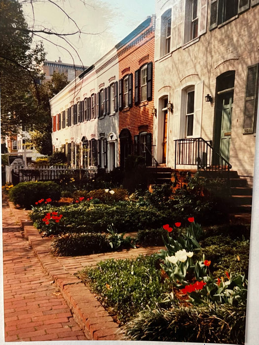 900-912 1.5 25th St house facades and gardens (prior to 2005) (Ellie Becker Collection, DC Hist Cent)