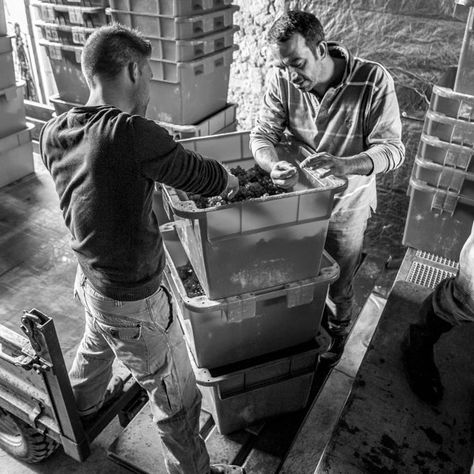 THE RICH HISTORY OF DOMAINE GUIBERTEAU